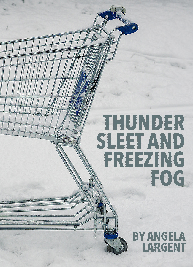 Thunder Sleet and Freezing Fog