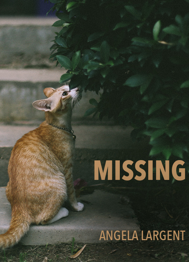 Missing