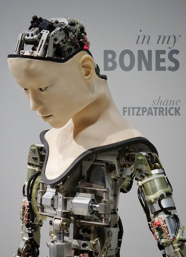 In My Bones