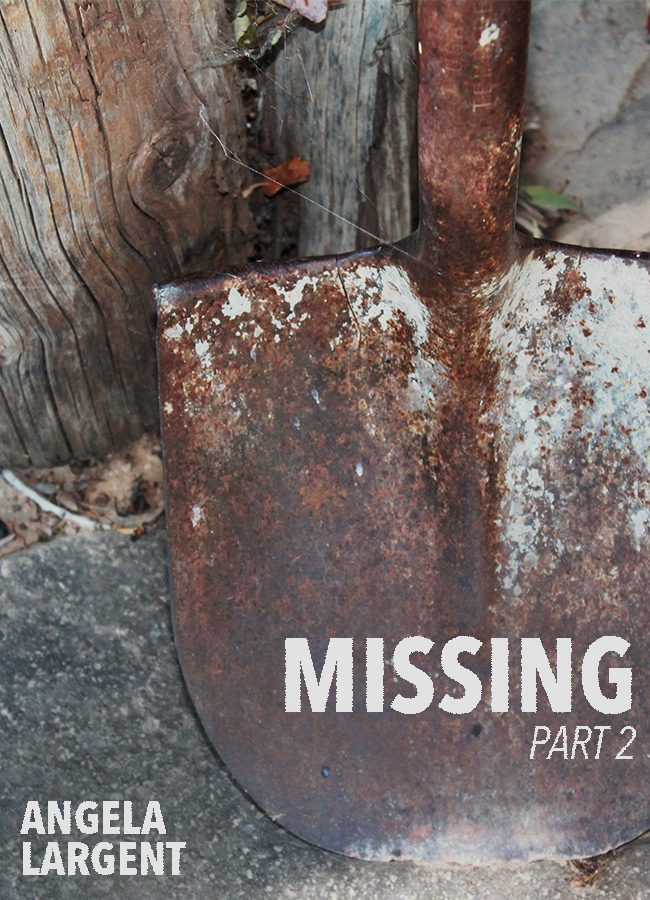 Missing, part 2
