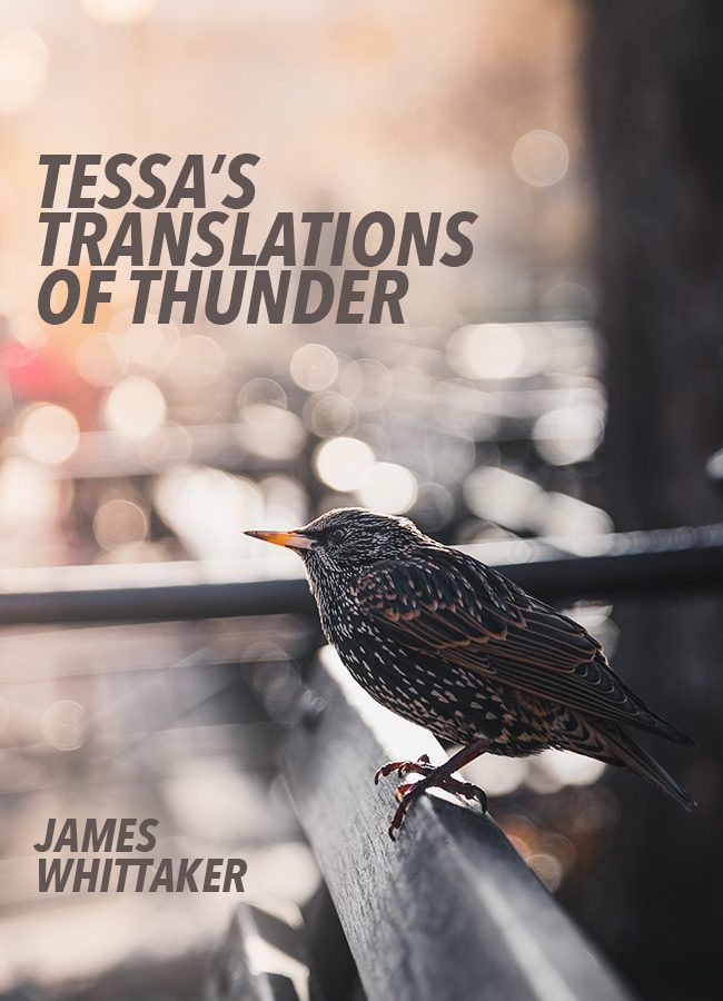 Tessa’s Translations of Thunder