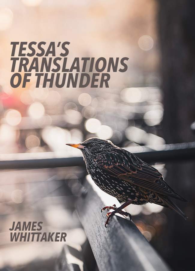 Tessa's Translations of Thunder
