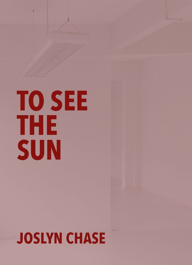 To See The Sun