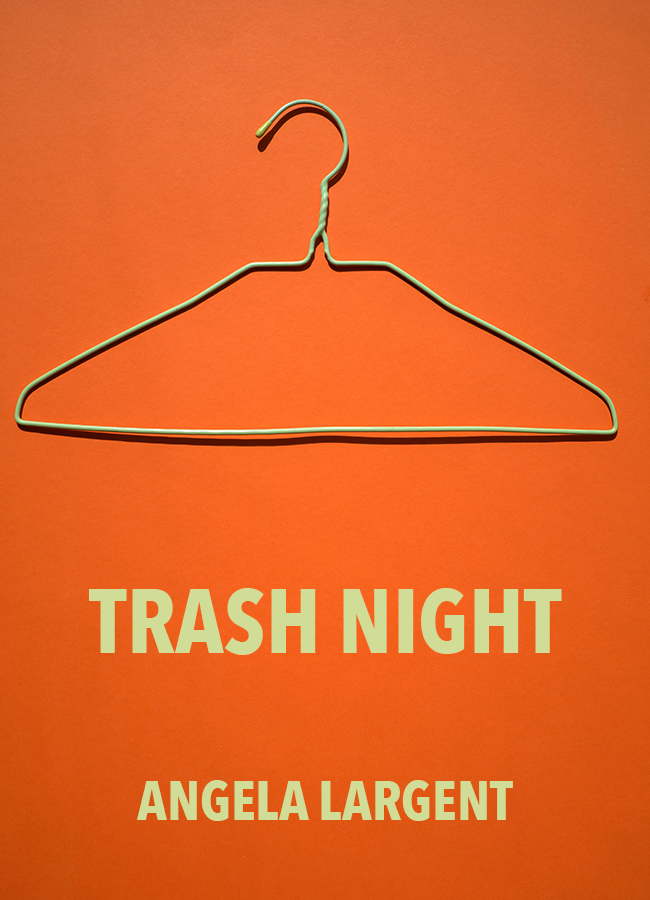 Trash Night