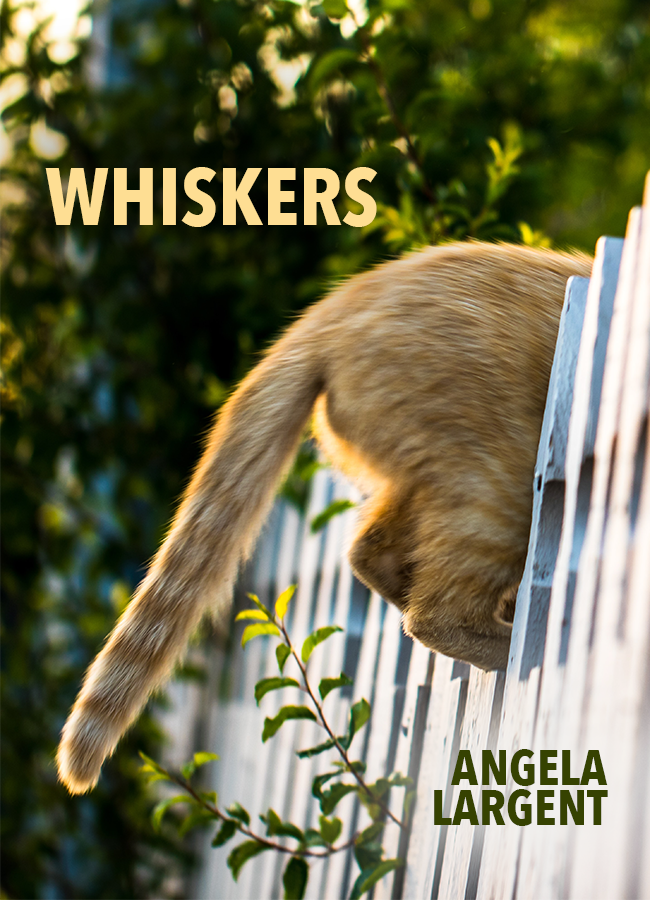 Whiskers