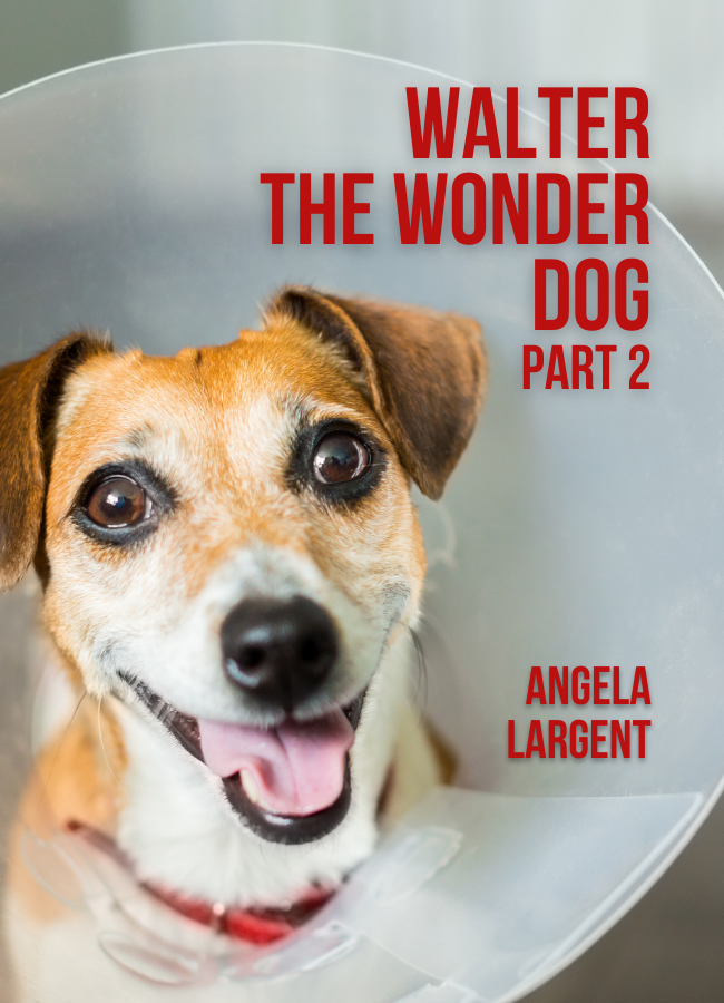 Walter the Wonder Dog, part 2