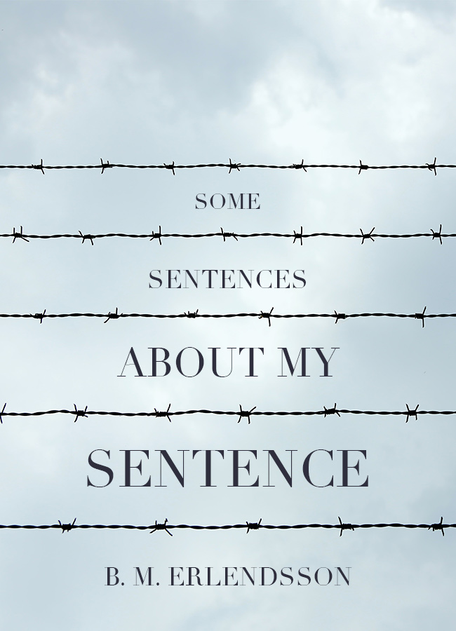 Some Sentences About My Sentence