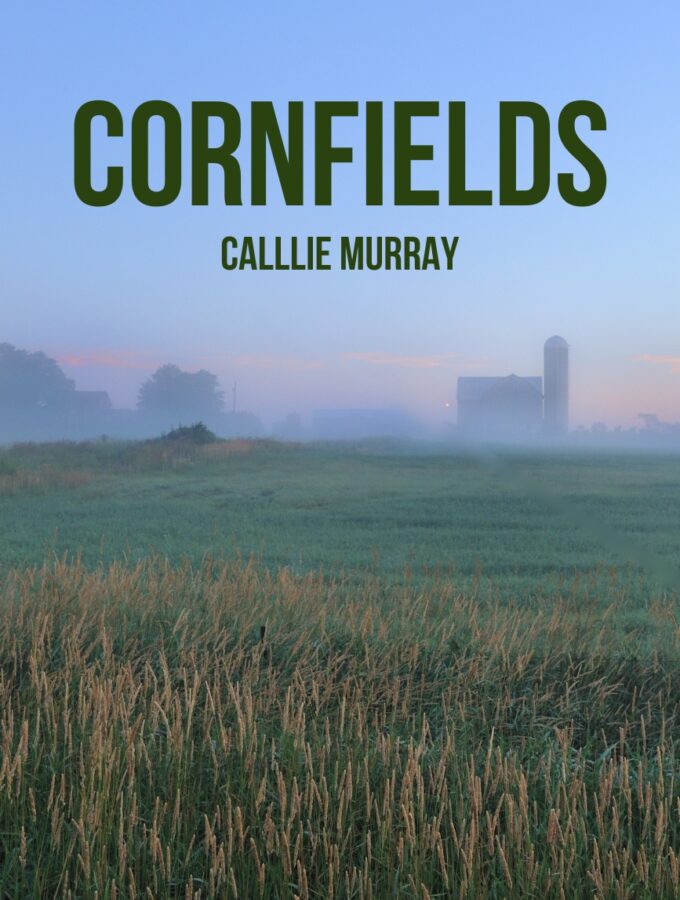 Cornfields