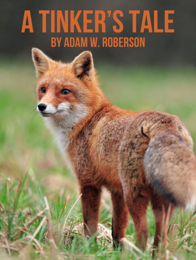 Fantasy Short Story: A Tinker's Tale by Adam W Roberson