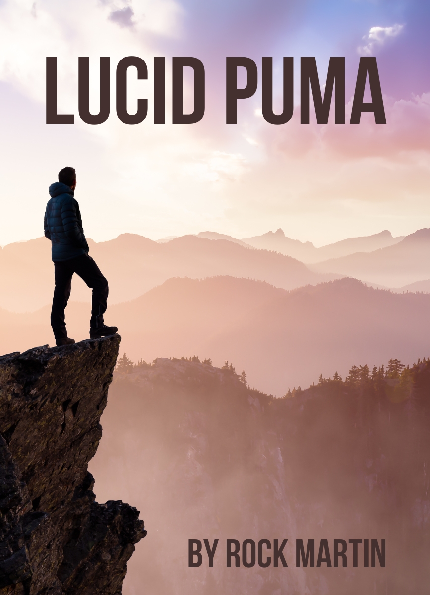 Lucid Rocks Lucid Puma