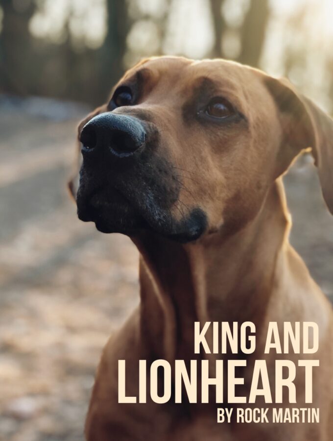 Drama Short Story: King and Lionheart by Rock Martin