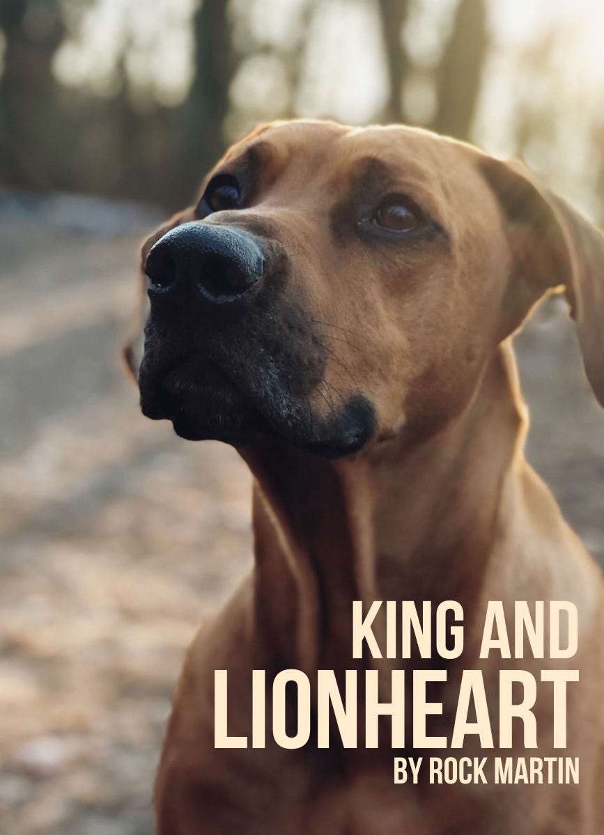 Drama Short Story: King and Lionheart by Rock Martin