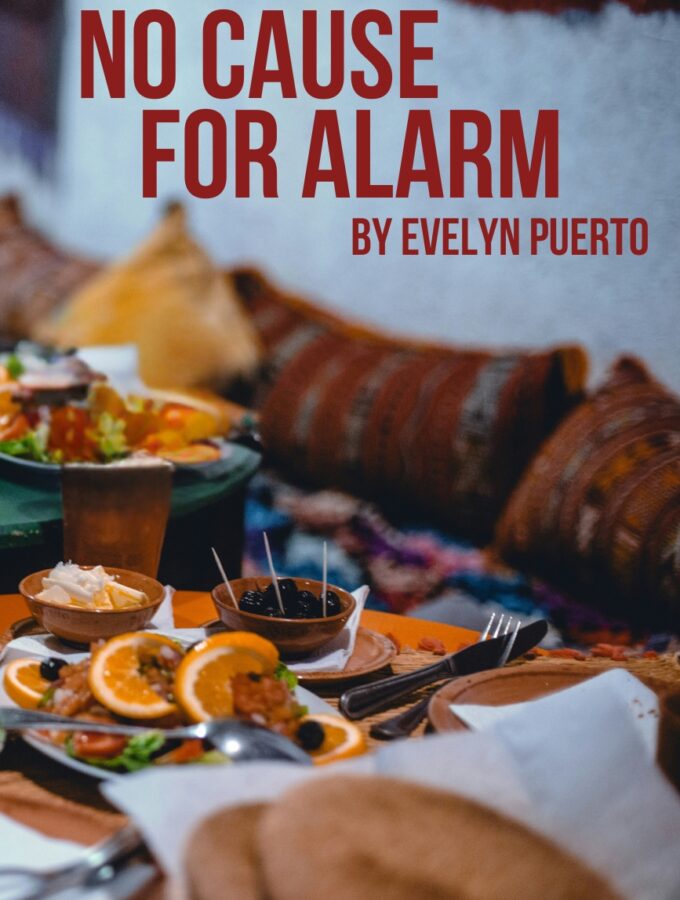 Drama Short Story: No Cause for Alarm by Evelyn Puerto