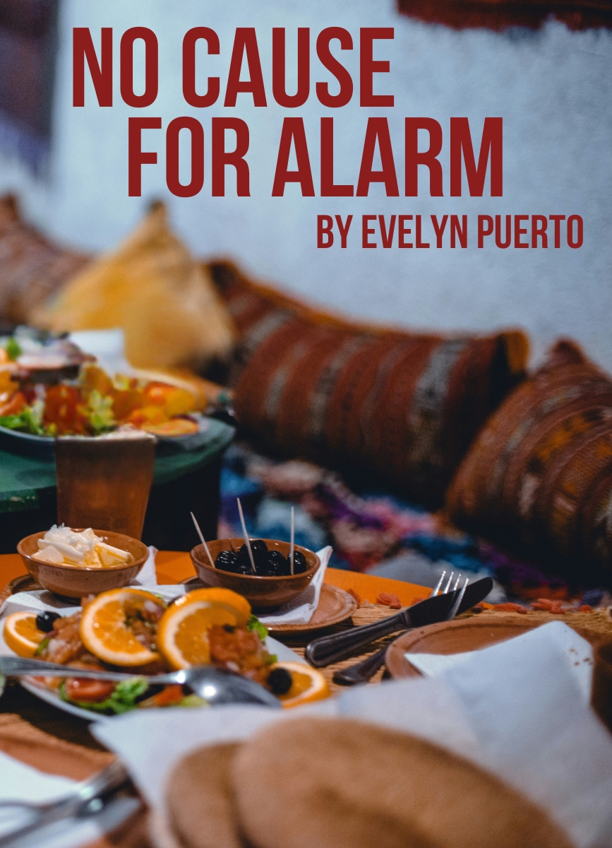 Drama Short Story: No Cause for Alarm by Evelyn Puerto